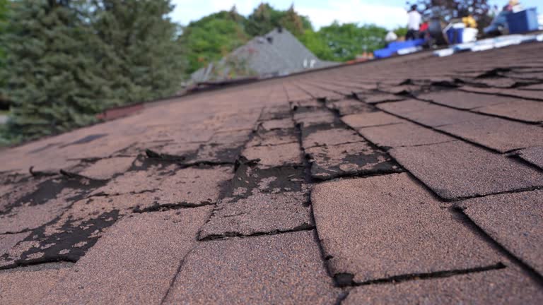 Best Gutter Installation and Repair  in Carey, OH