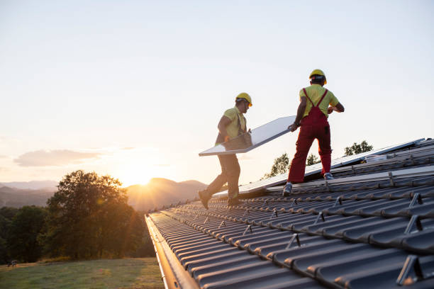 Best Skylights  in Carey, OH
