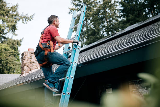 Best Roof Coating and Sealing  in Carey, OH