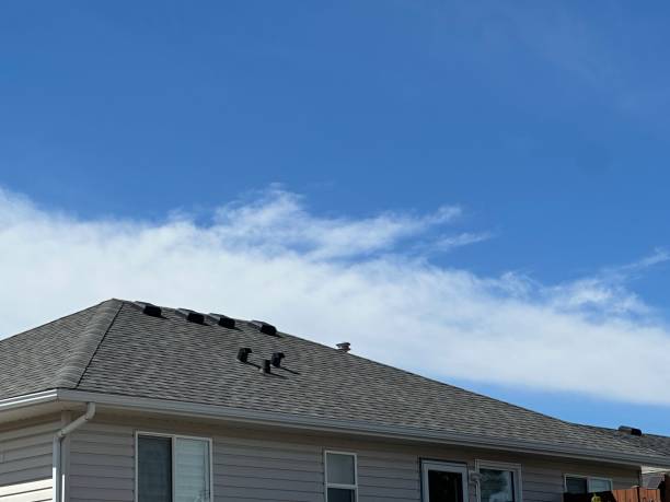 Best Asphalt Shingle Roofing  in Carey, OH