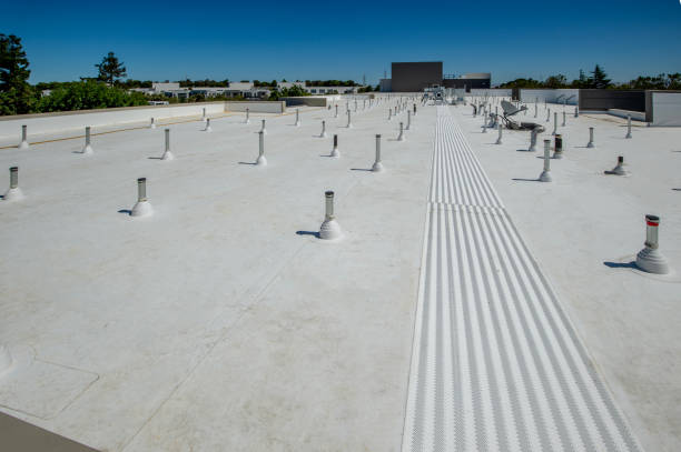Best Solar Panel Roofing Installation  in Carey, OH